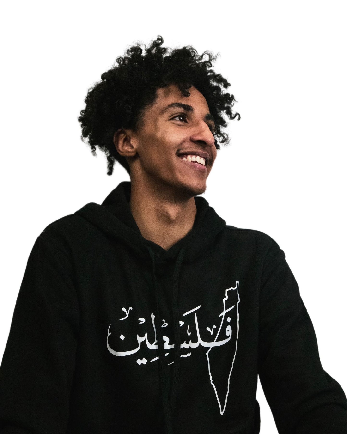 فلسطين/ From the River to the Sea Hoodie (Olive Tree)