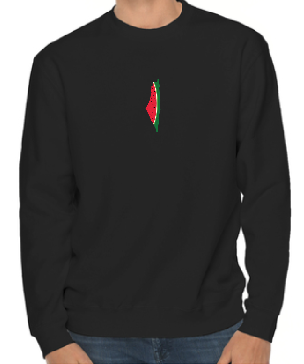 Palestine Watermelon Map Crewneck